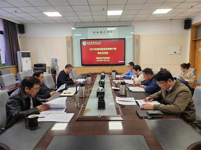 800成人色情
2025年度处级党员领导干部民主生活会.jpg