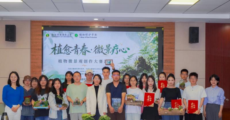 800图片1.jpg